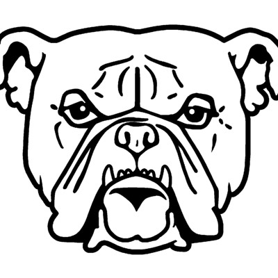 Bulldog